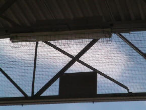Pigeon control netting installed and working great - No Pigeons !