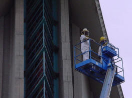 Installing pigeon netting but having to deal with bees first