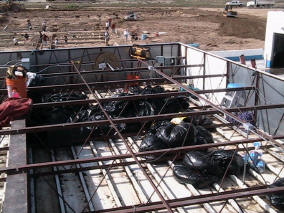 Small sample of the bags need to clean off a gas canopy of pigeon and bird poop