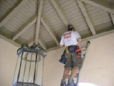 Recessed beams make great nesting spots for pigeons and sparrows