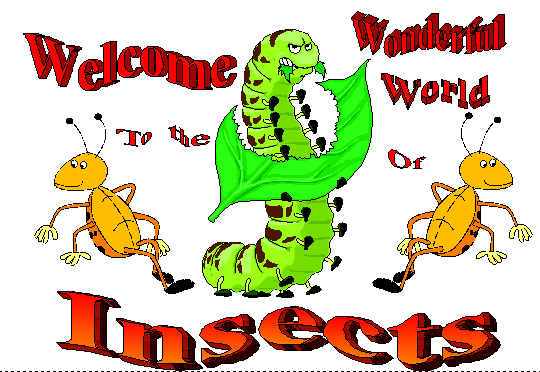 Welcome to The Wonderful World of Insects gif