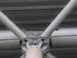 Bird and pigeon control spike was installed on all the beams and cross bracing