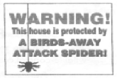 Birds away attack spider for woodpecker control